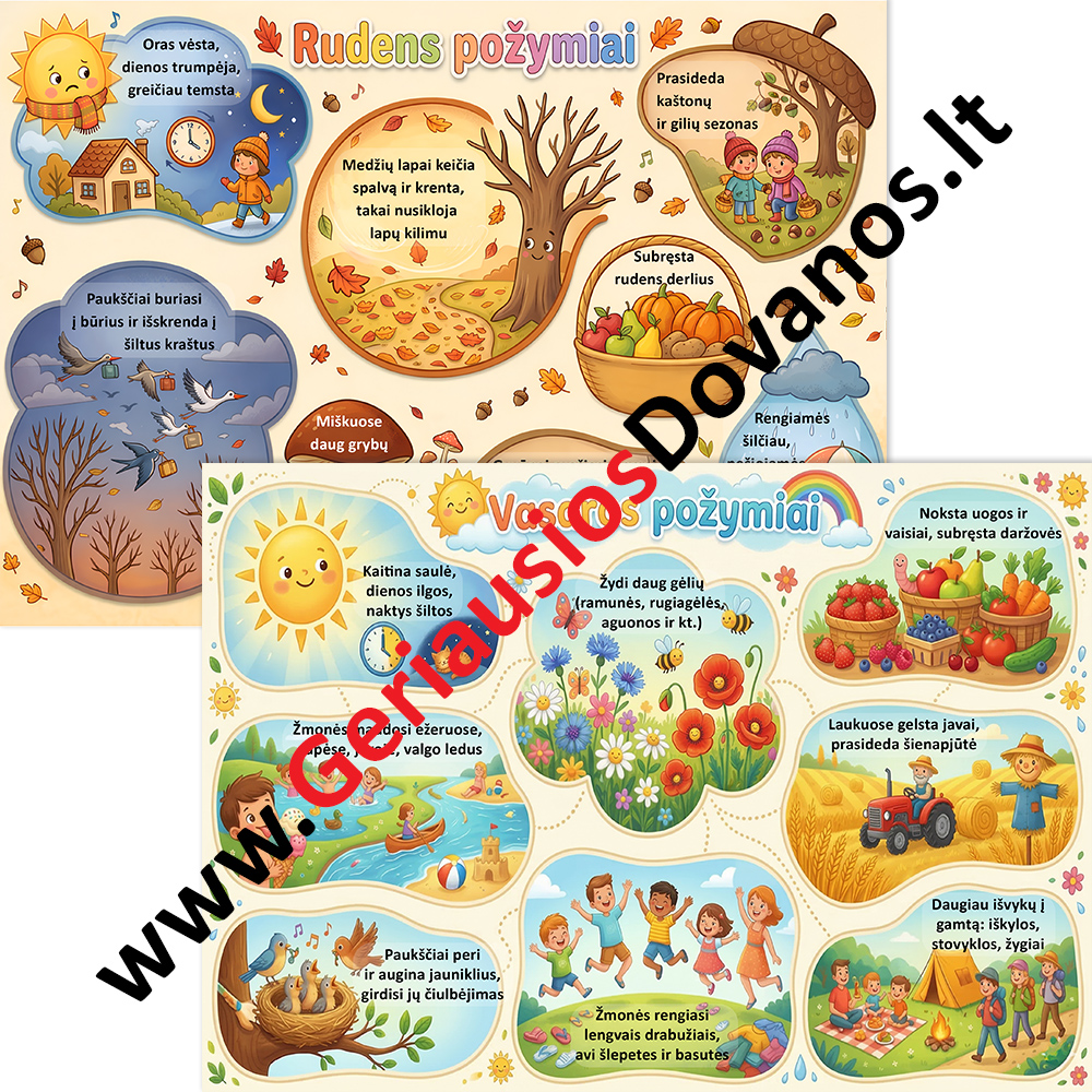Edukacinių Laminuotų Kortelių Rinkinys „Metų Laikų Pažinimas“