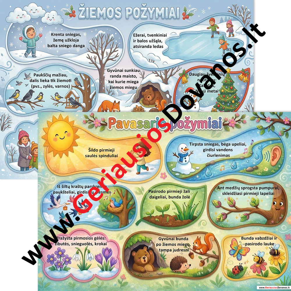 Edukacinių Laminuotų Kortelių Rinkinys „Metų Laikų Pažinimas“